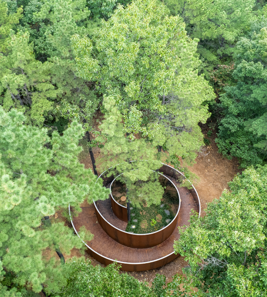 비밀의 숲
